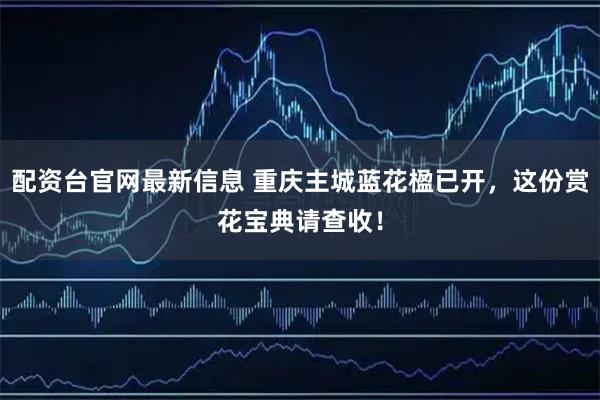 配资台官网最新信息 重庆主城蓝花楹已开，这份赏花宝典请查收！